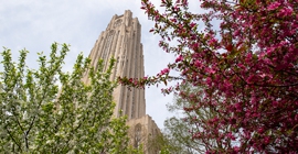 Spring Cathedral of Learning